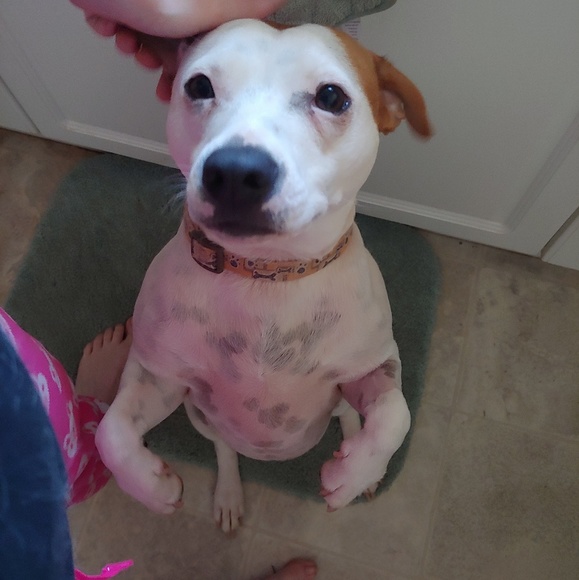 Meet your Posher, Amber - Picture 2 of 12